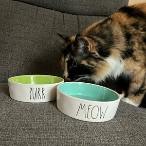 Rae Dunn Cat Food Dishes PURR MEOW Matching Set